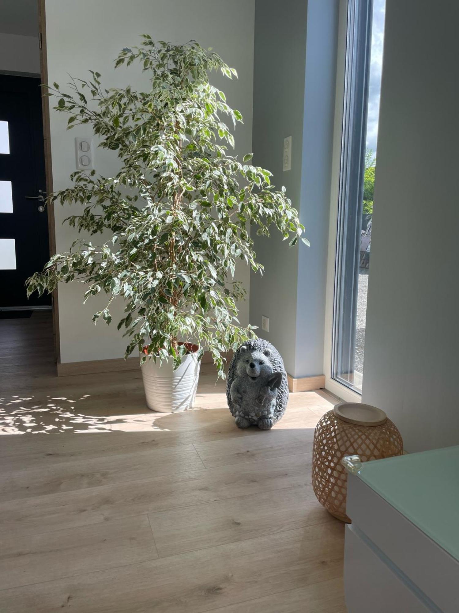 Maison Spacieuse Proche Strasbourg Ostwald Exteriör bild